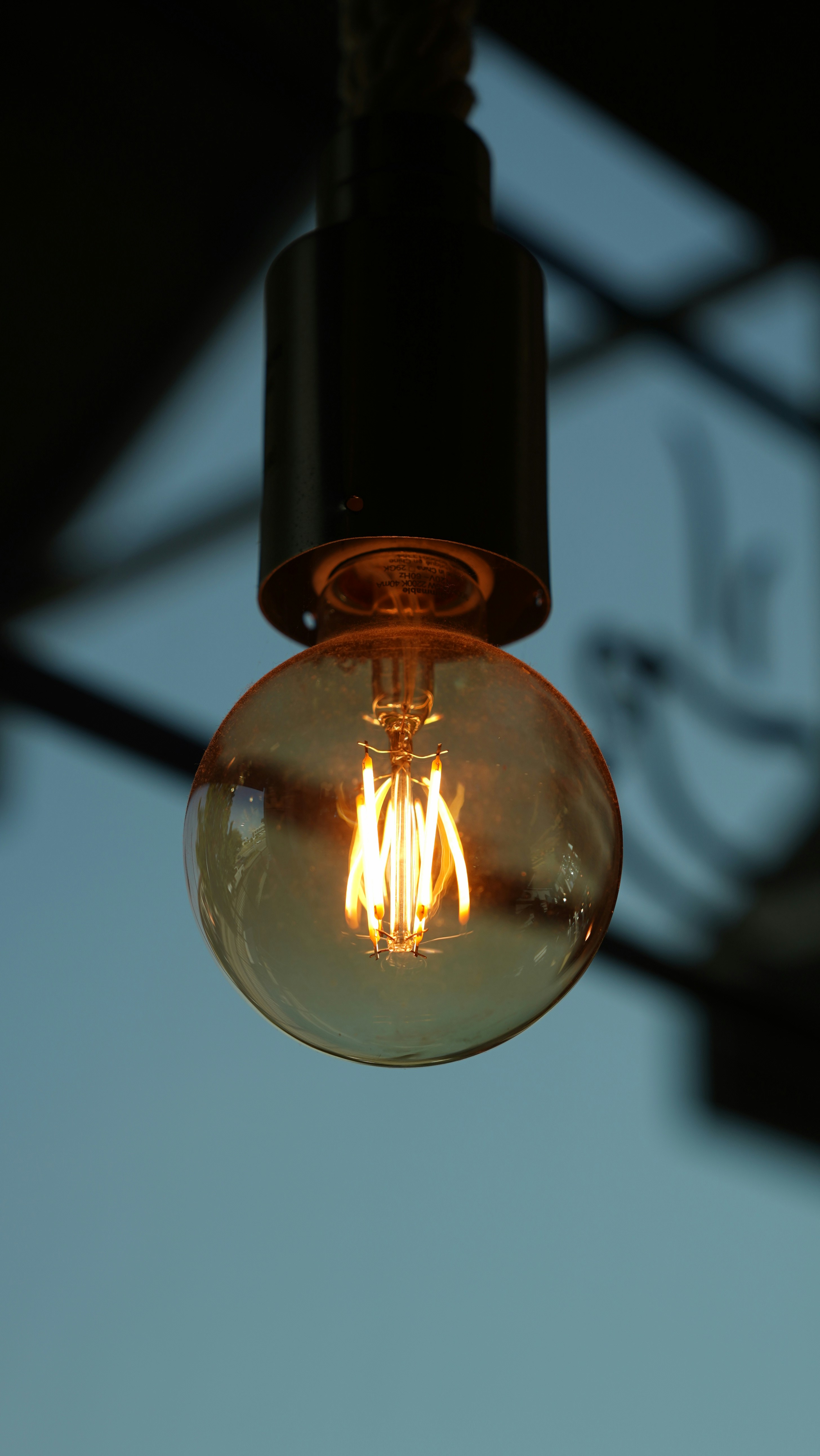 Photo by balianroberts