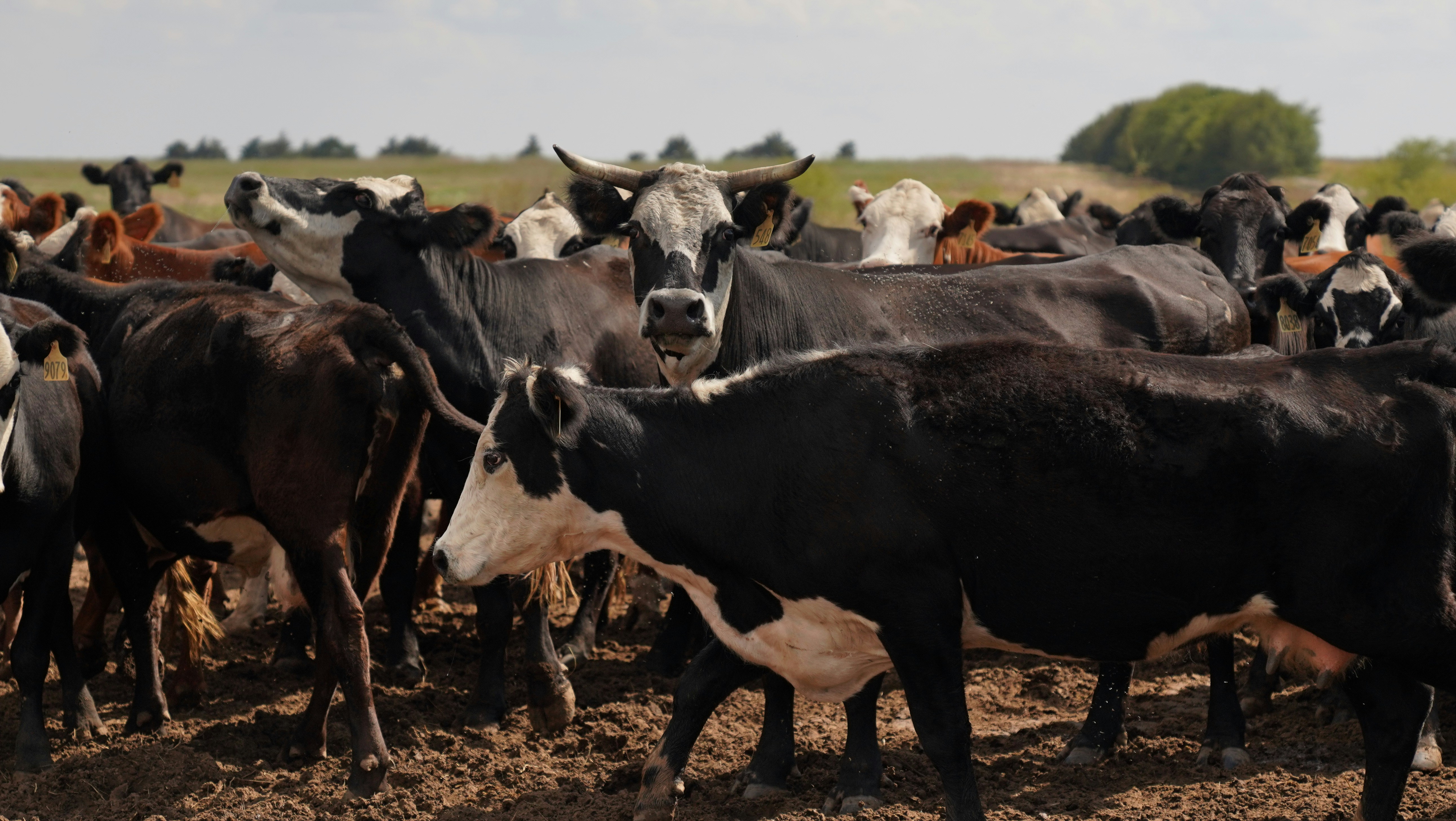 Photo by balianroberts