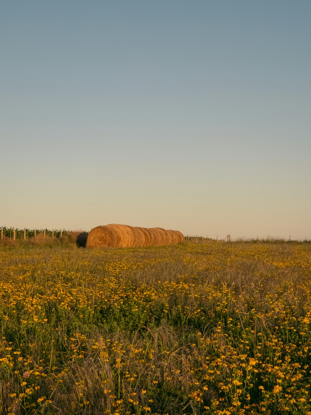 a large hay bale in a field of flowers