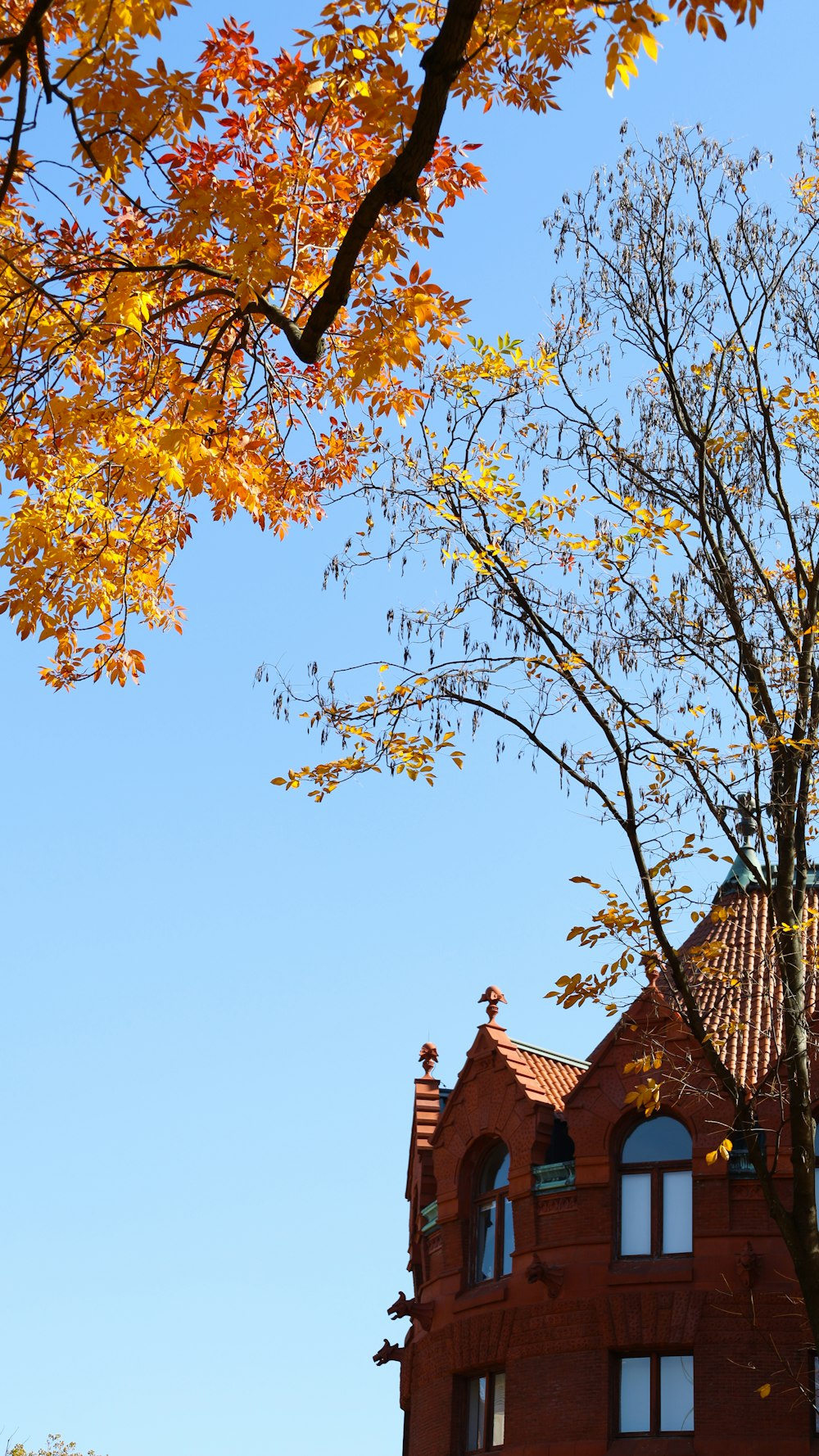 a tall red building with a clock on the top of it