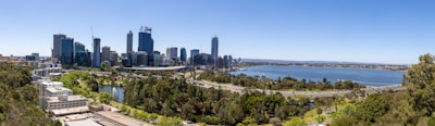 A panoramic view of Sarh city skyline blending with natural vegetation.