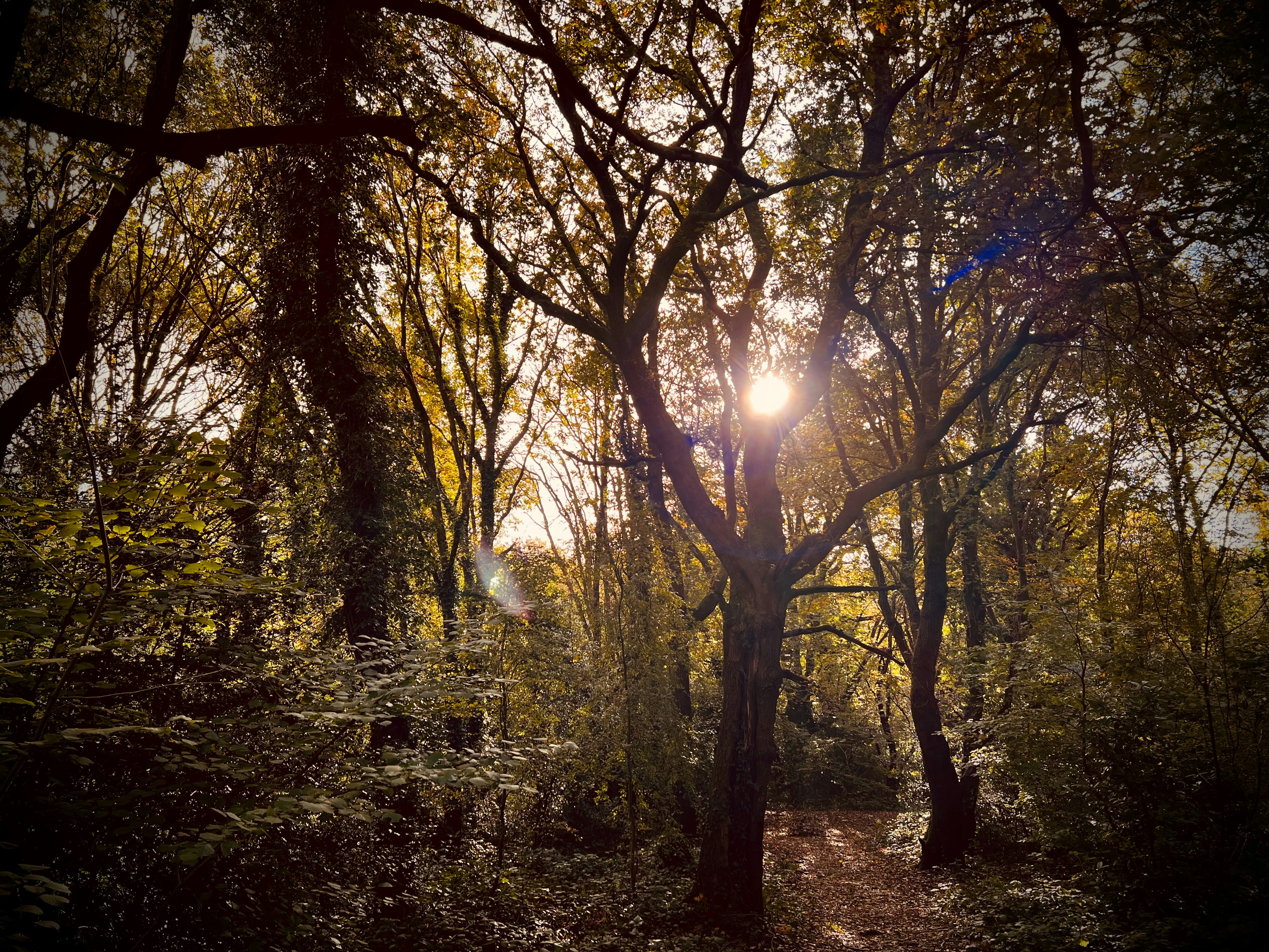 Photo by daaannorris