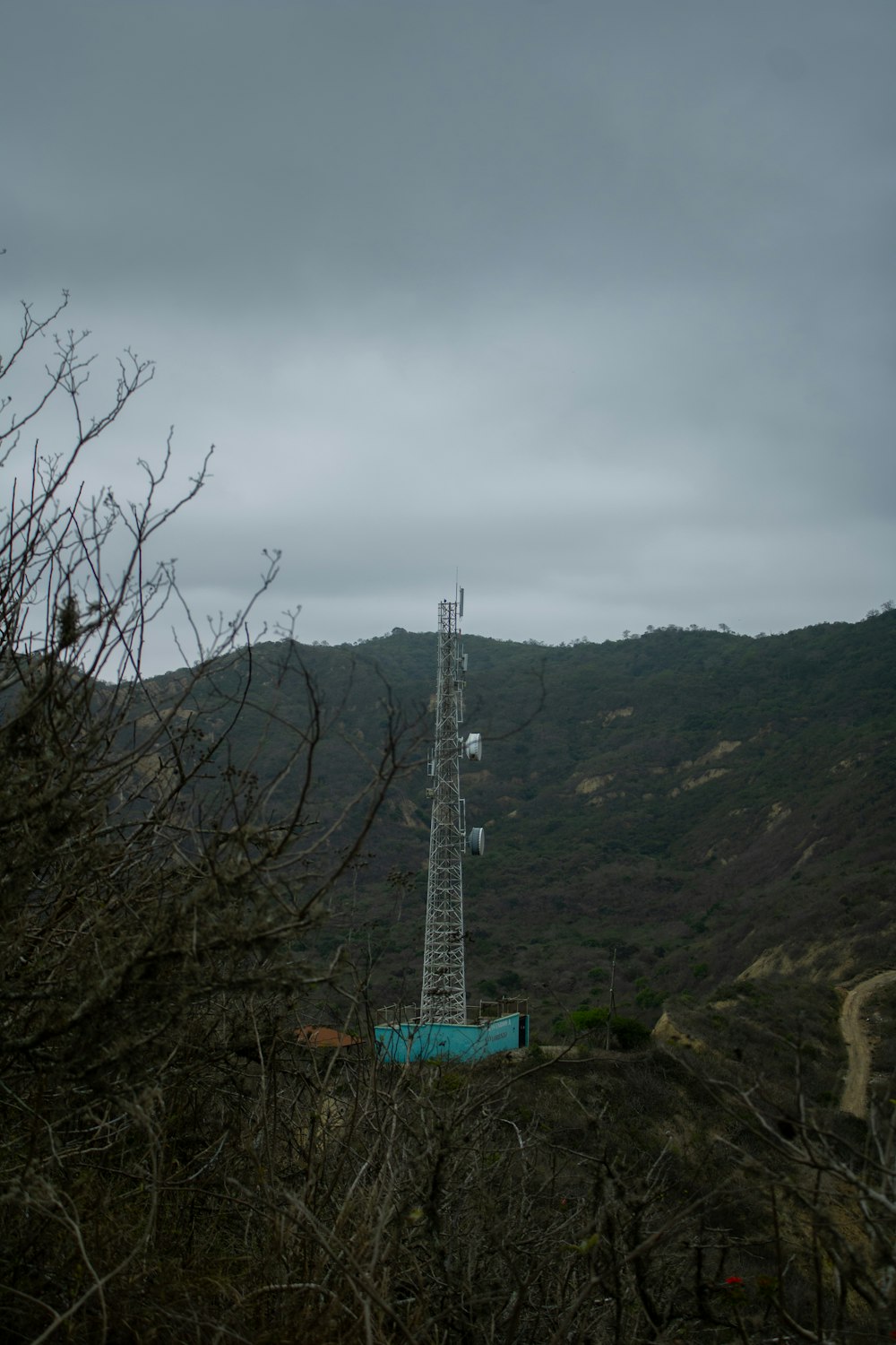 a radio tower in the middle of a forest