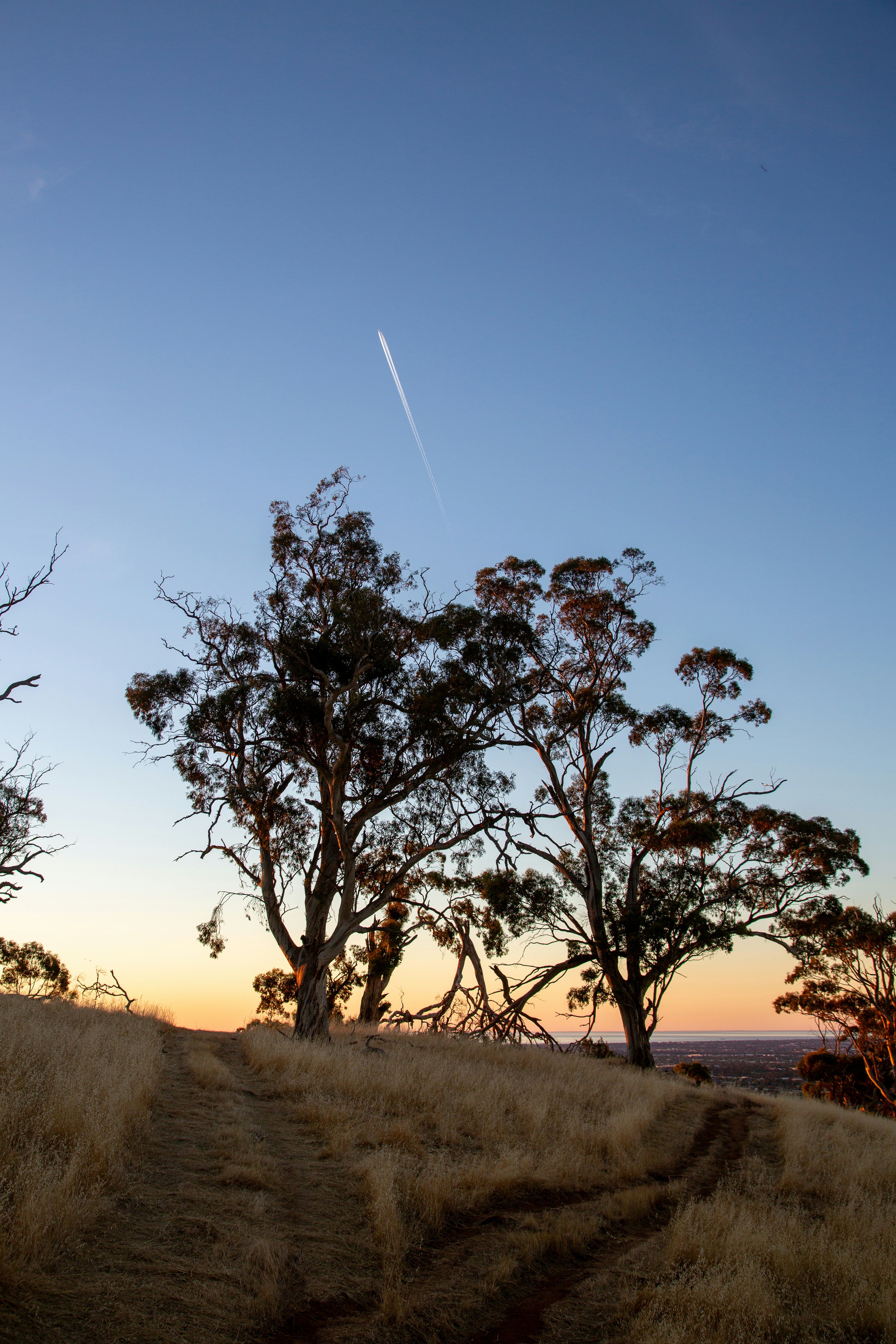 Photo by stephenmabbs