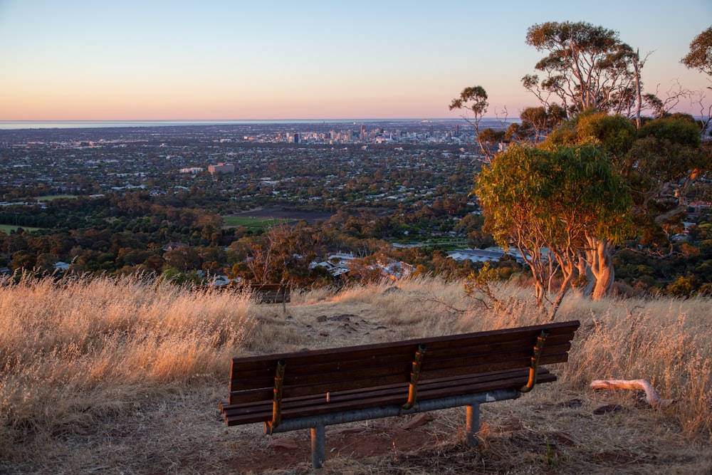 a bench on a hill overlooking a city