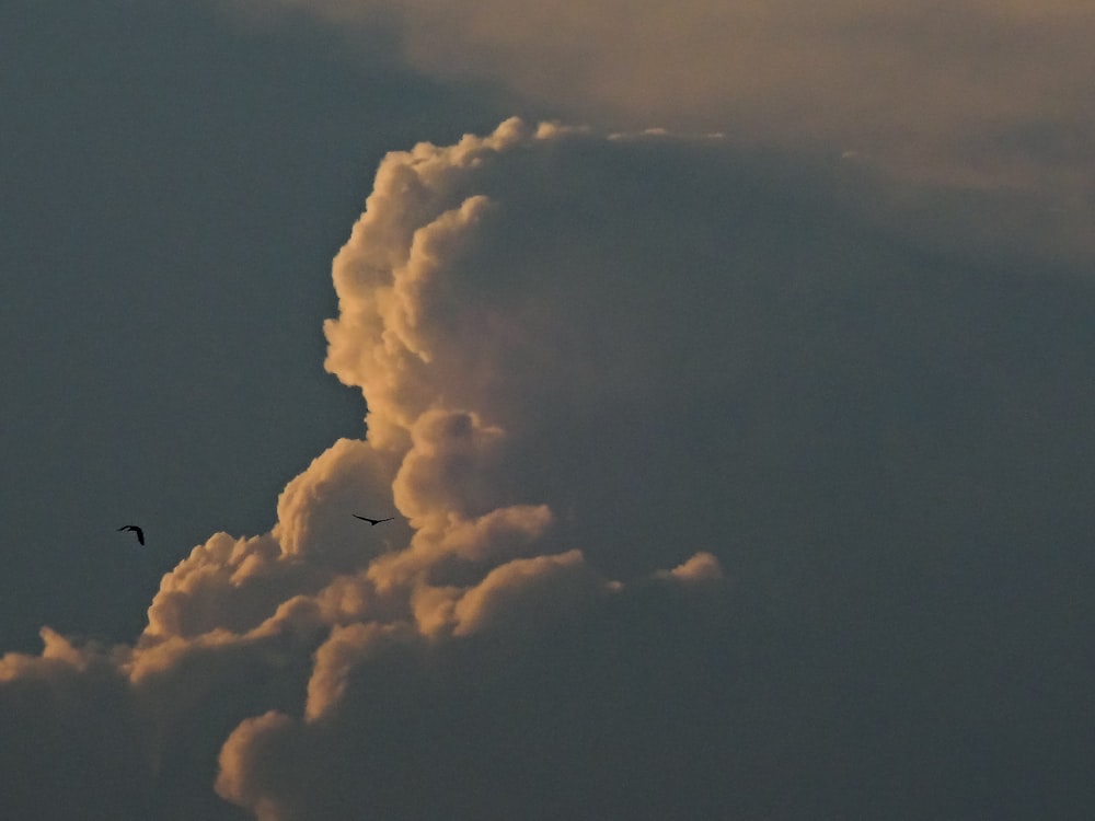 a couple of birds flying through a cloudy sky