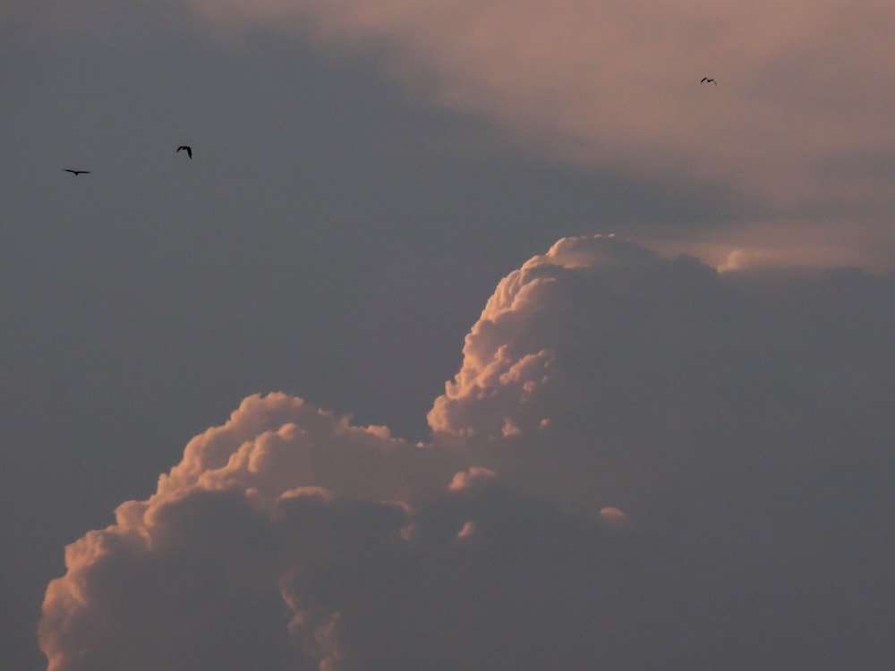 a couple of birds flying through a cloudy sky