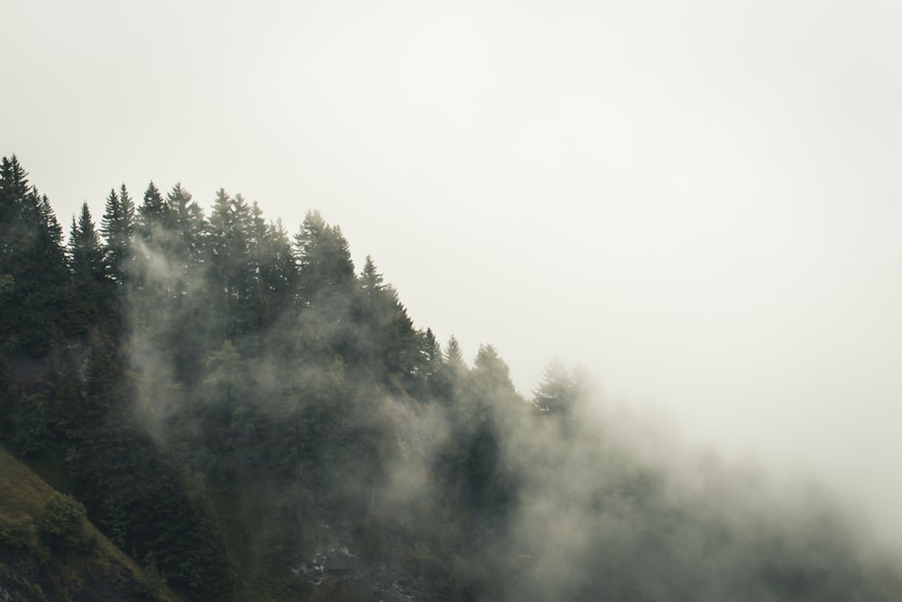 a mountain covered in fog and trees on a cloudy day