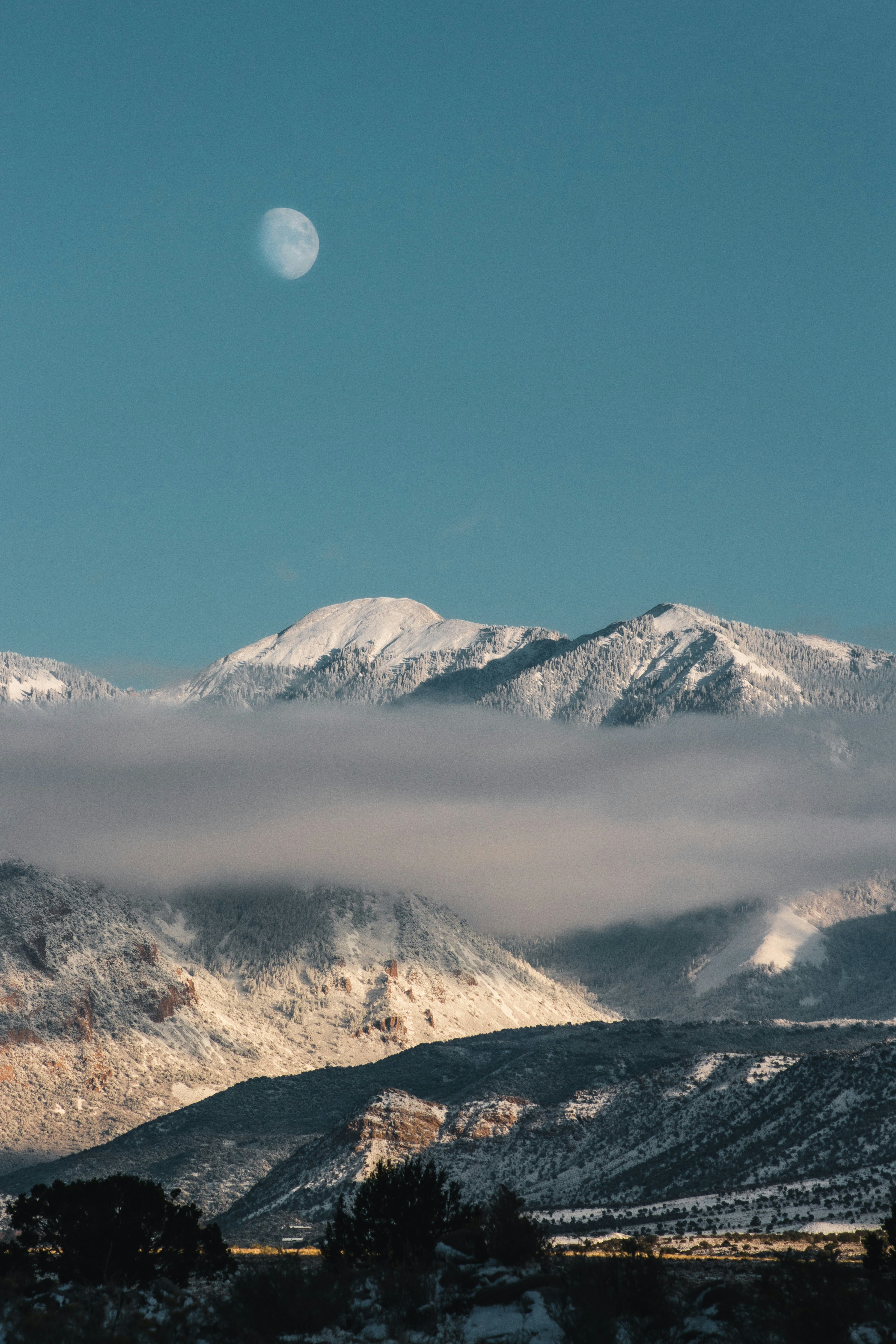 Photo by domsdigitals