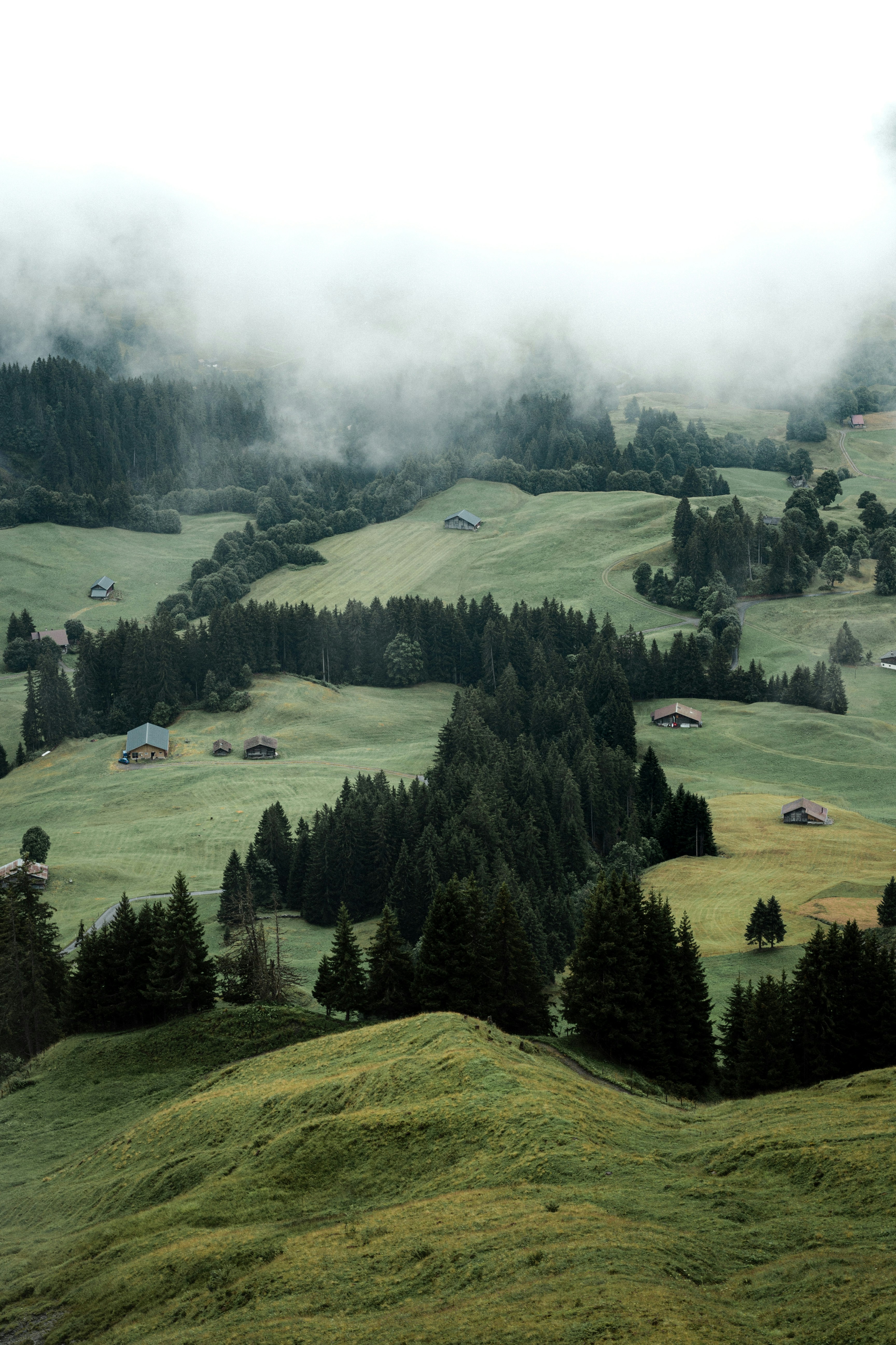 Photo by domsdigitals