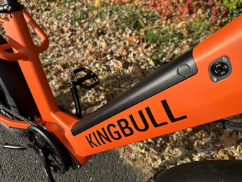 A close-up of an orange bicycle frame with the brand name 'KINGBULL' displayed prominently. The background consists of fallen leaves on the ground, suggesting an outdoor setting.