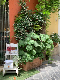 A lush corner with climbing plants covers an orange wall. Large green leafy plants are in a decorative planter, accompanied by a white wooden shelf on wheels displaying potted plants with red flowers and some papers resting on the lower shelf. The scene sits on a paved sidewalk with a patch of artificial grass.