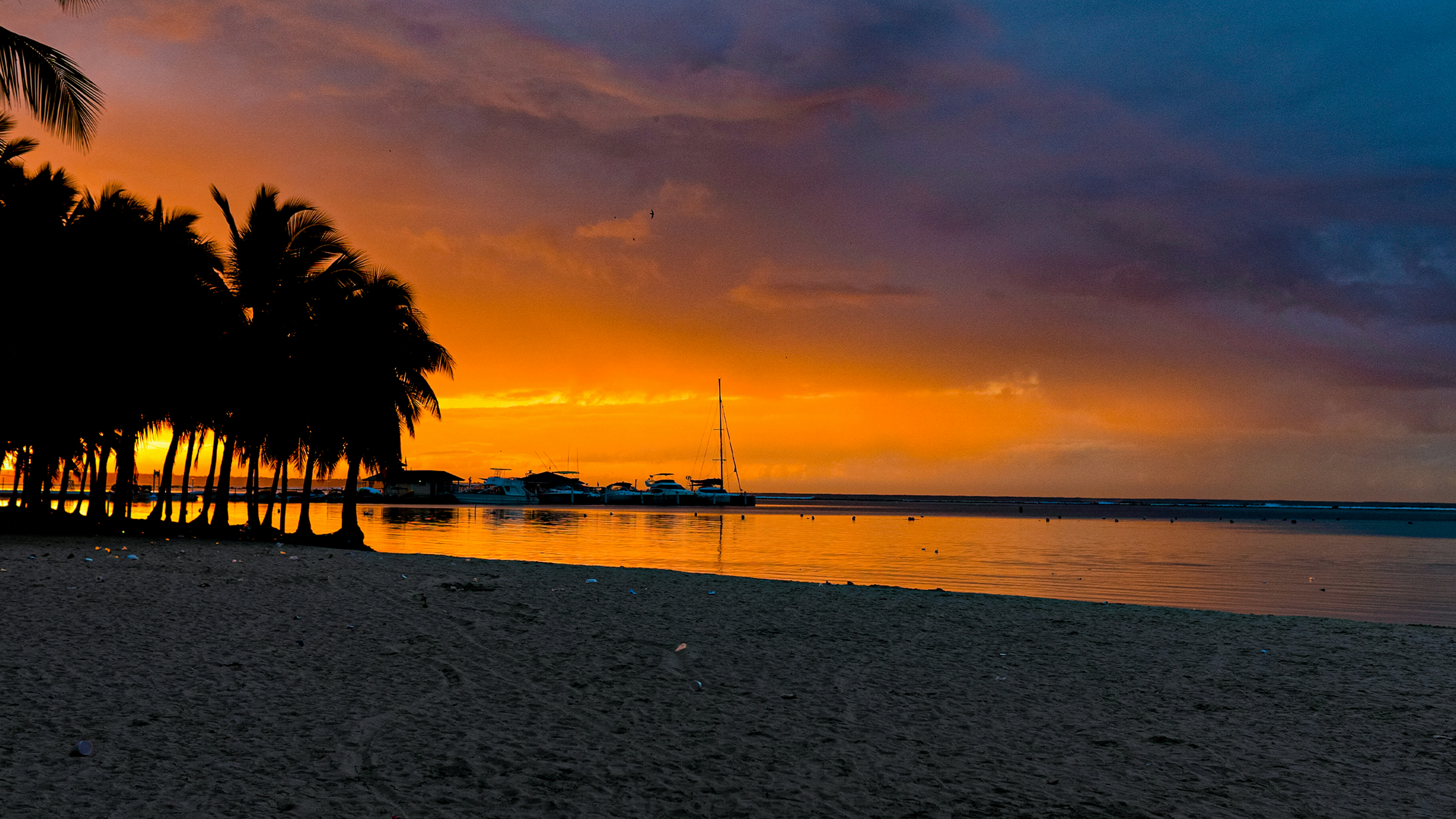 Photo by miguelphoto