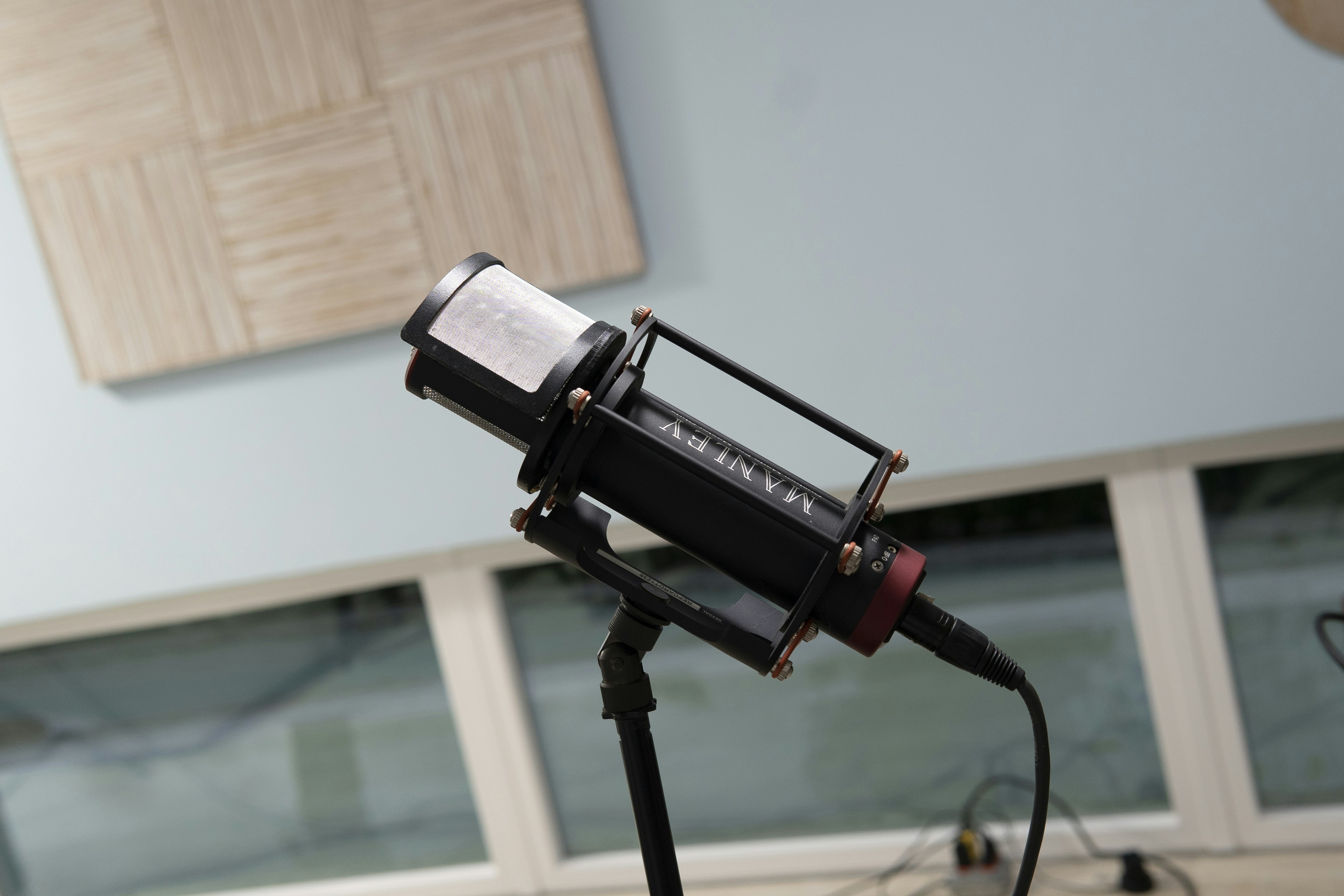 Photo by miguelphoto