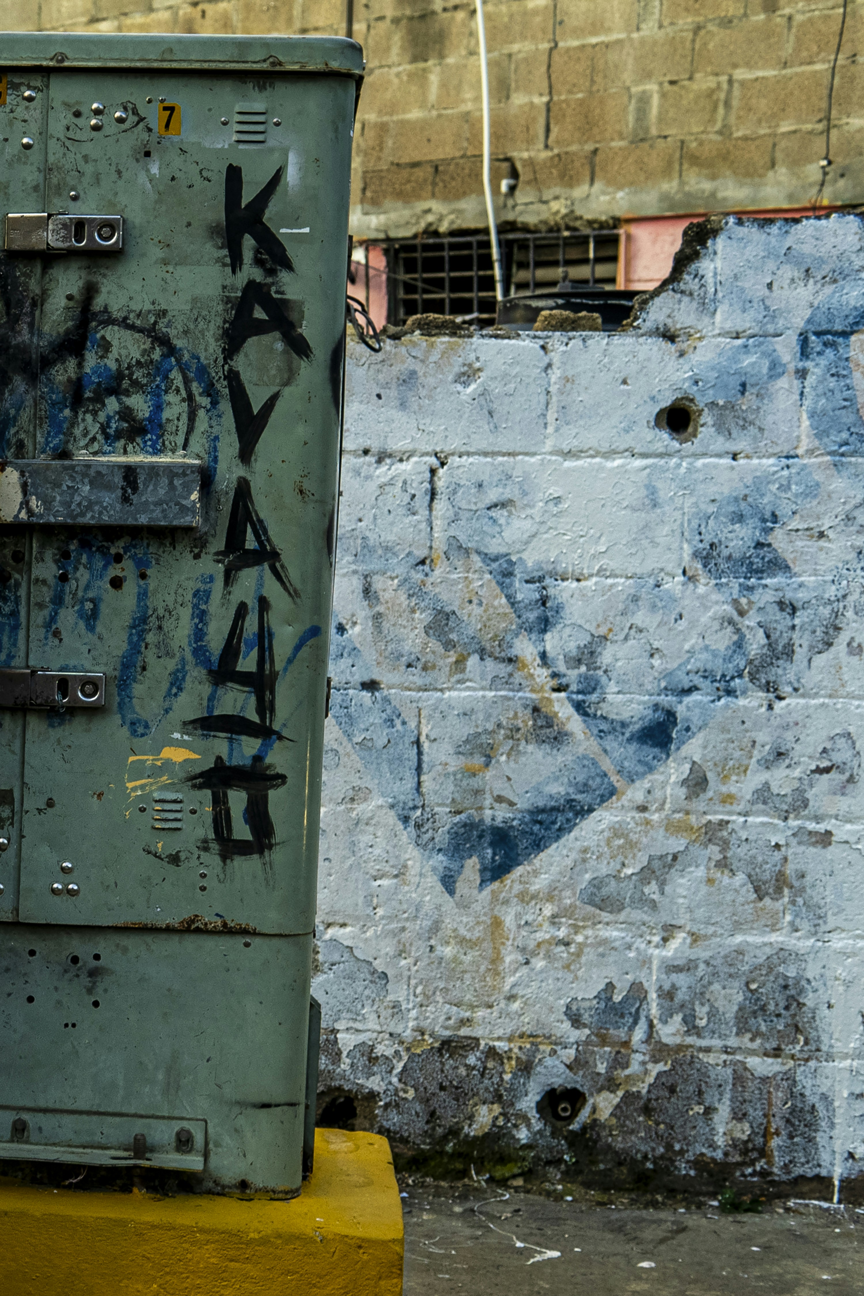 Photo by miguelphoto