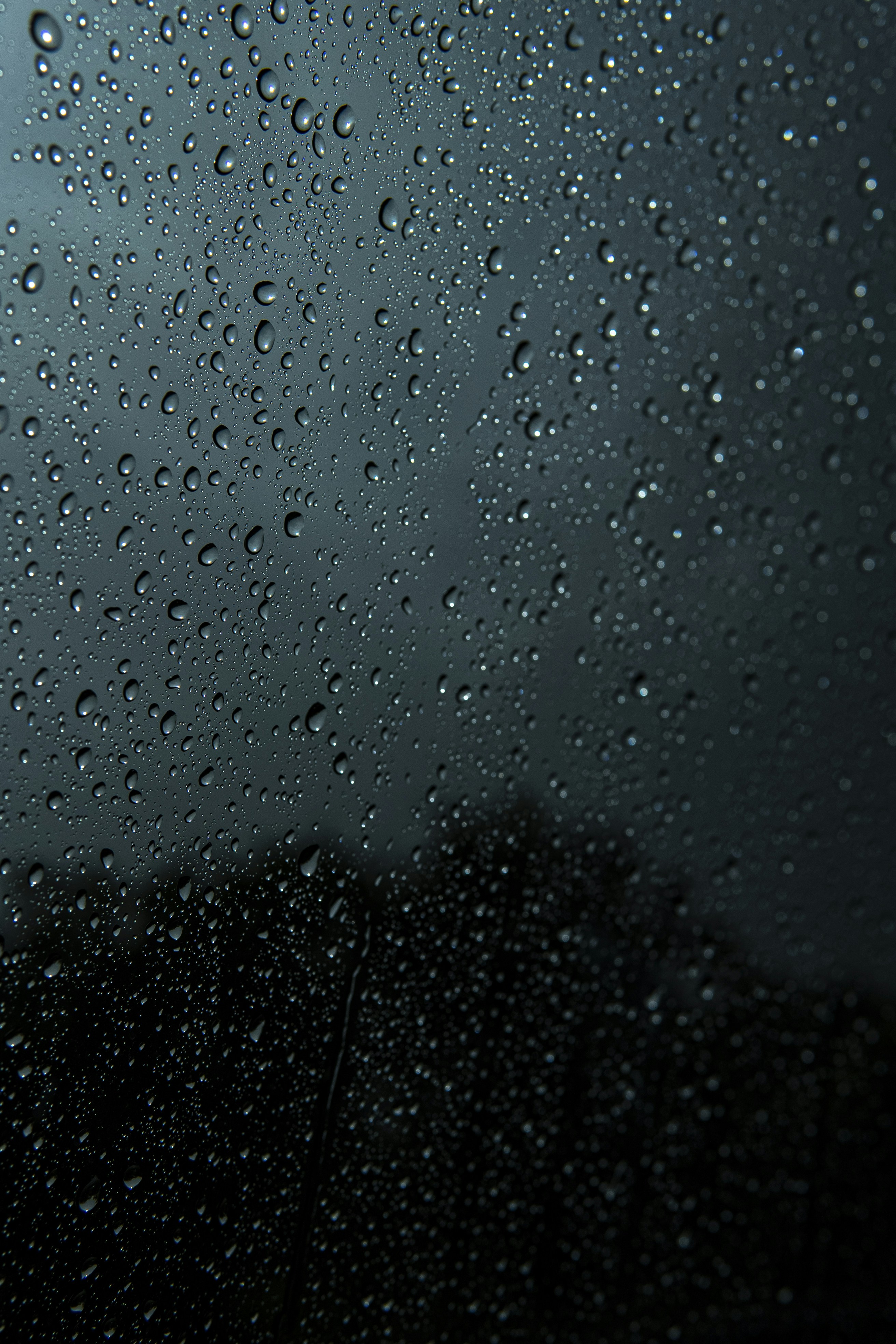 Photo by miguelphoto