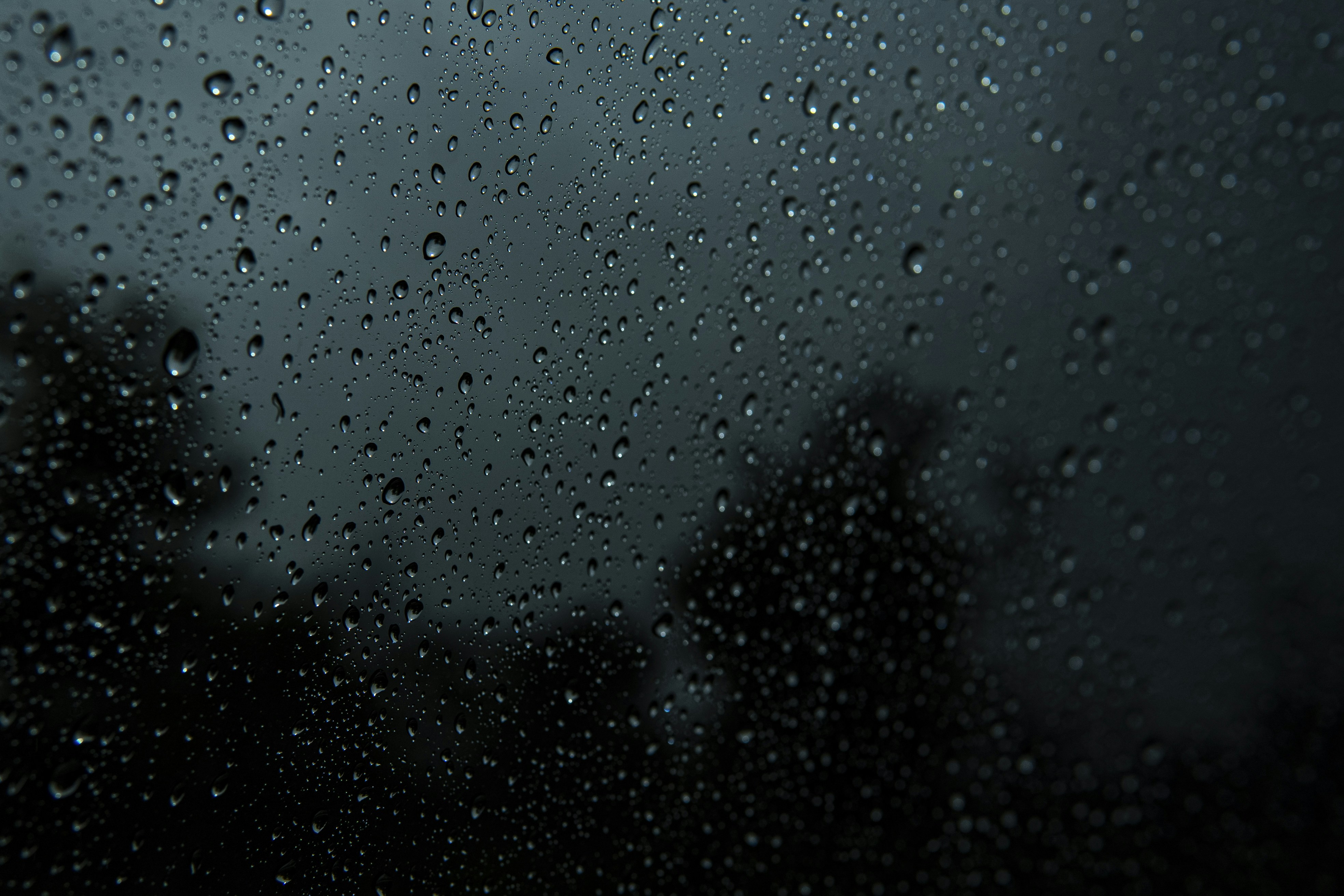 Photo by miguelphoto