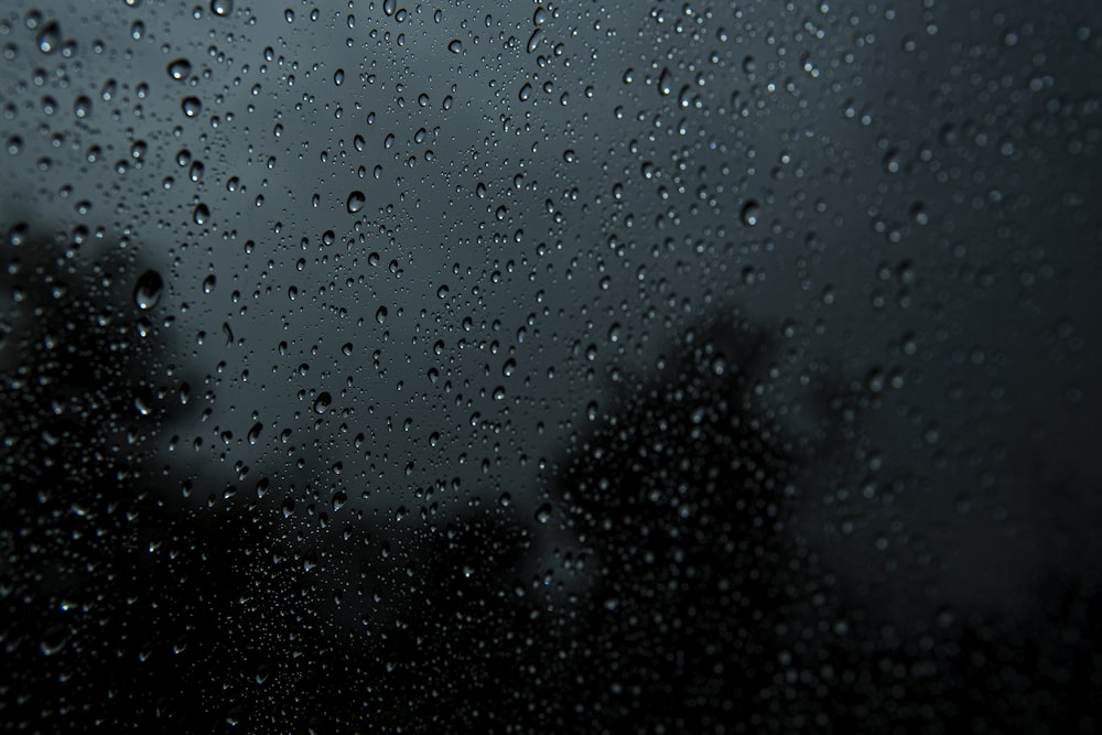 rain drops on the window of a car