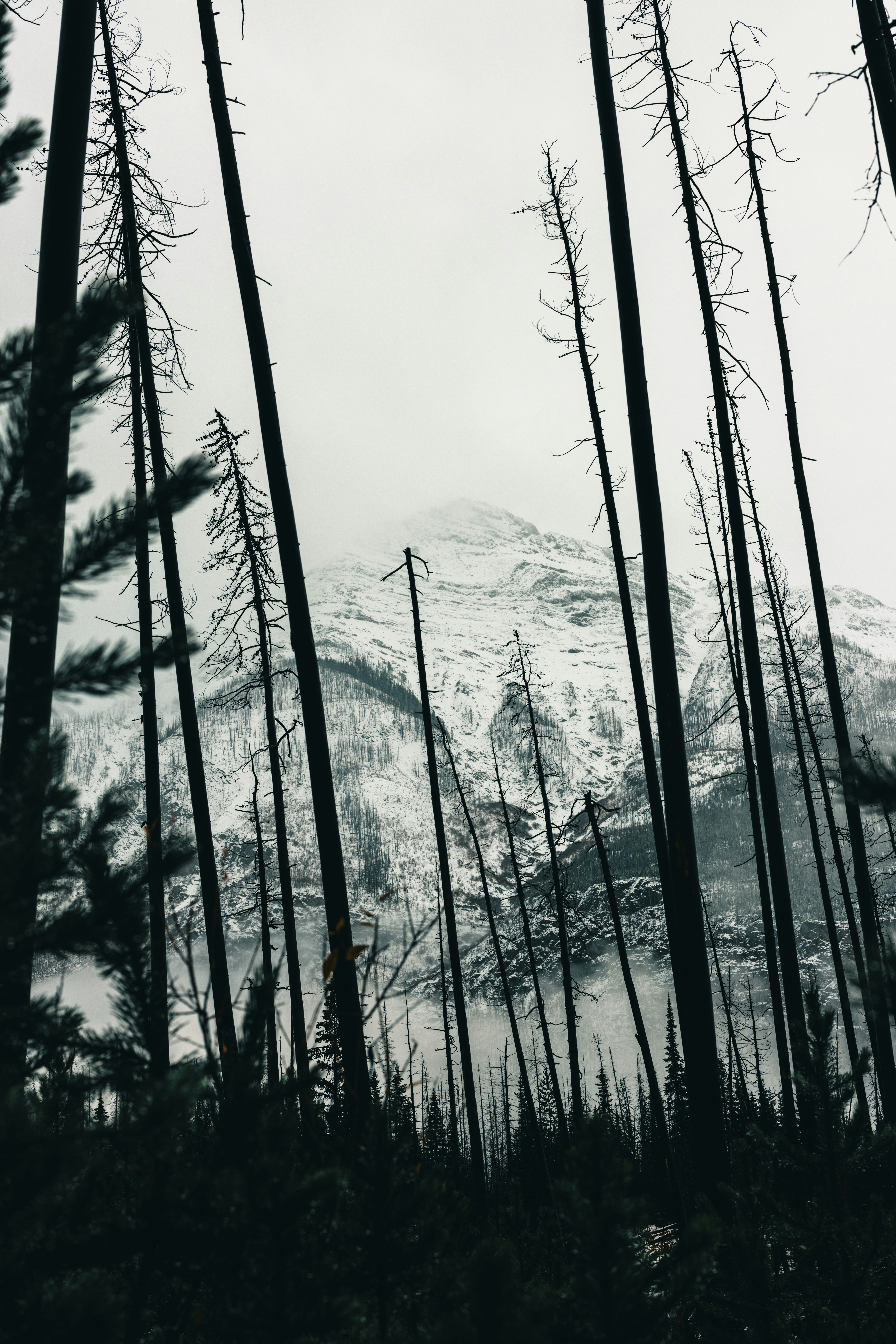 Photo by lureofadventure