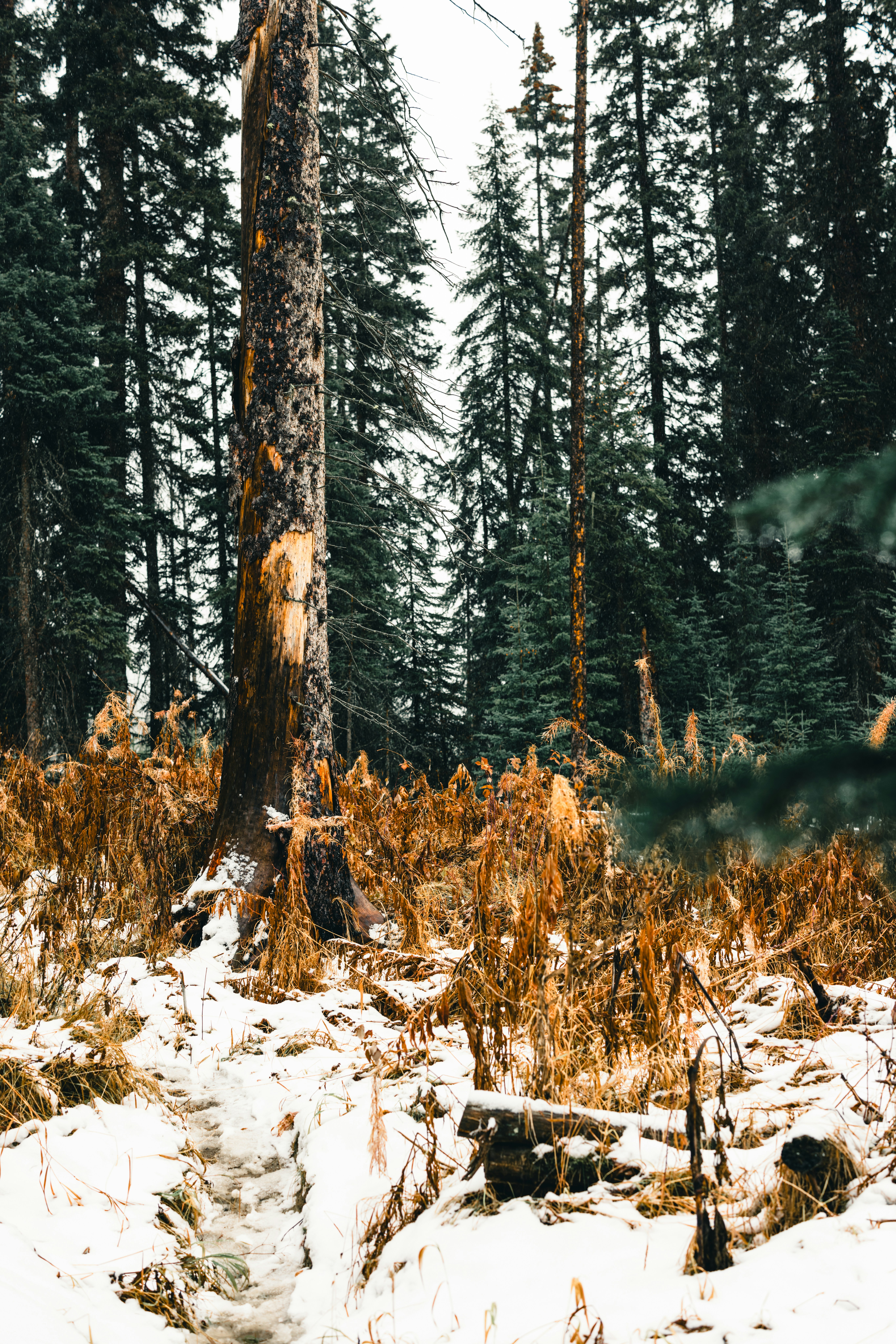 Photo by lureofadventure