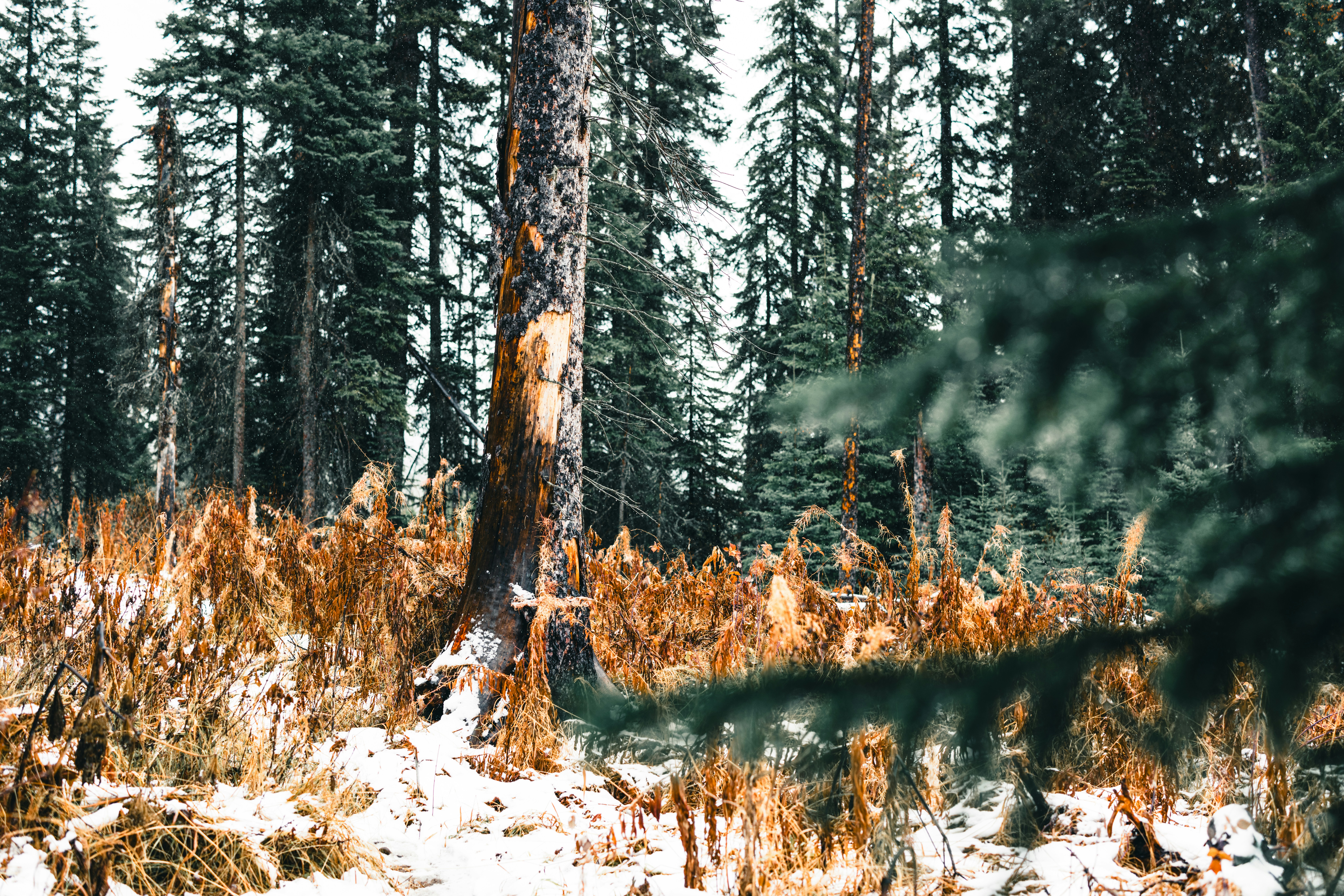 Photo by lureofadventure