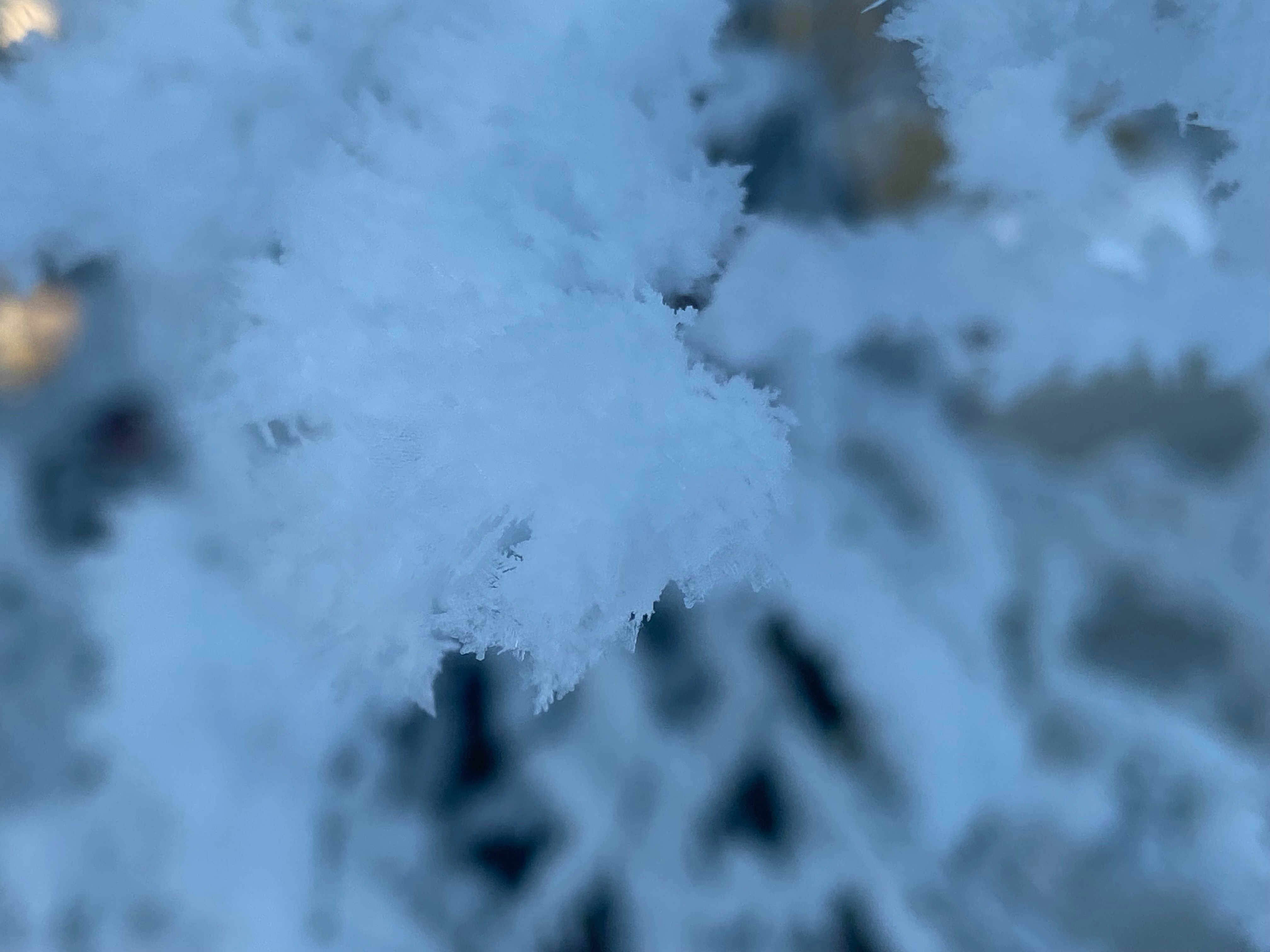 photo-1701495495573-bbb87131d0c4