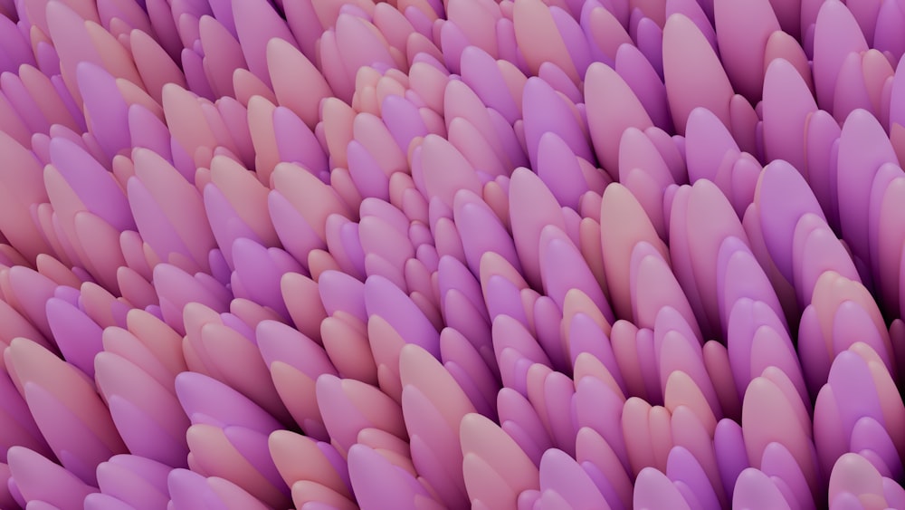 a close up of a bunch of purple flowers