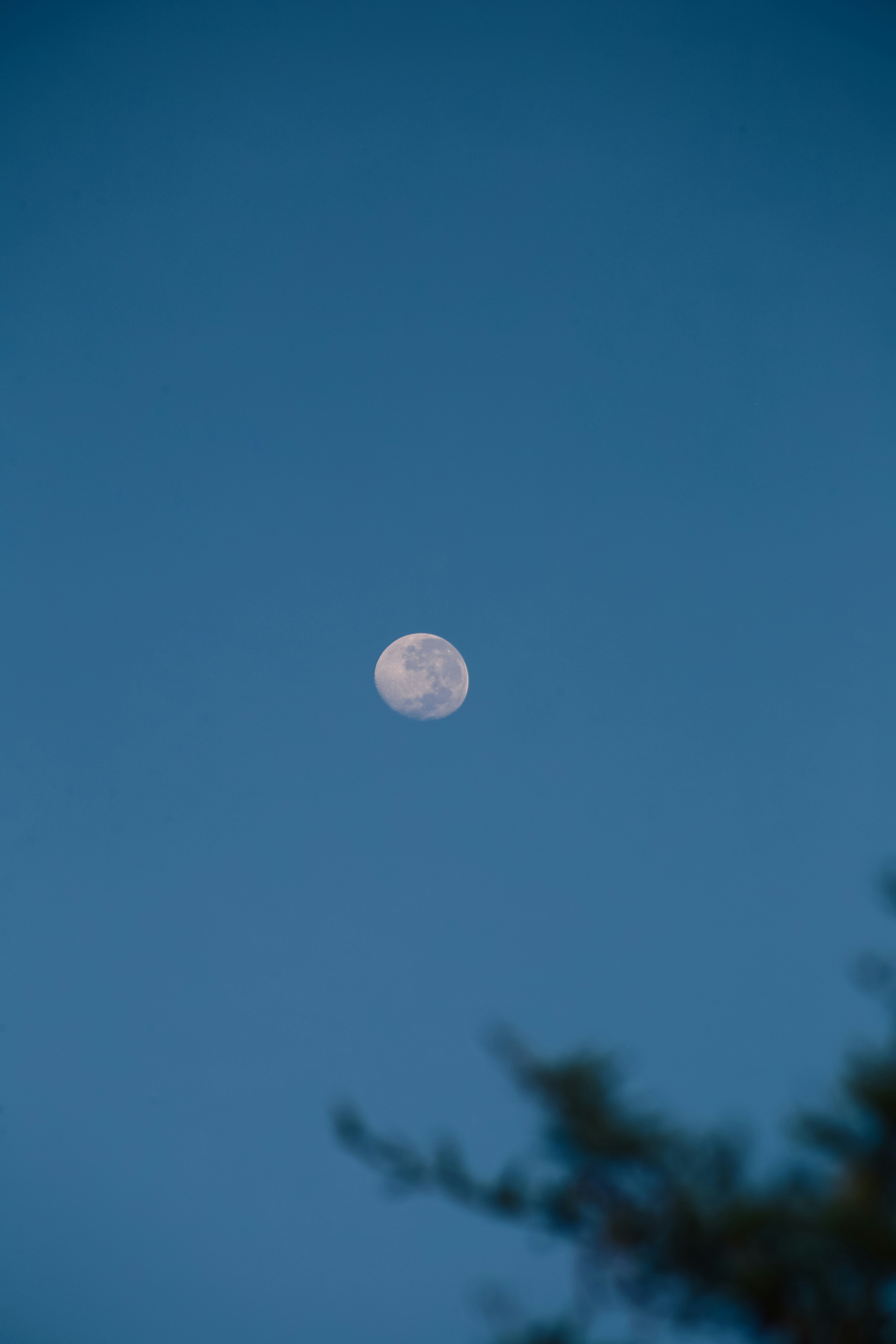 Photo by stevecameup