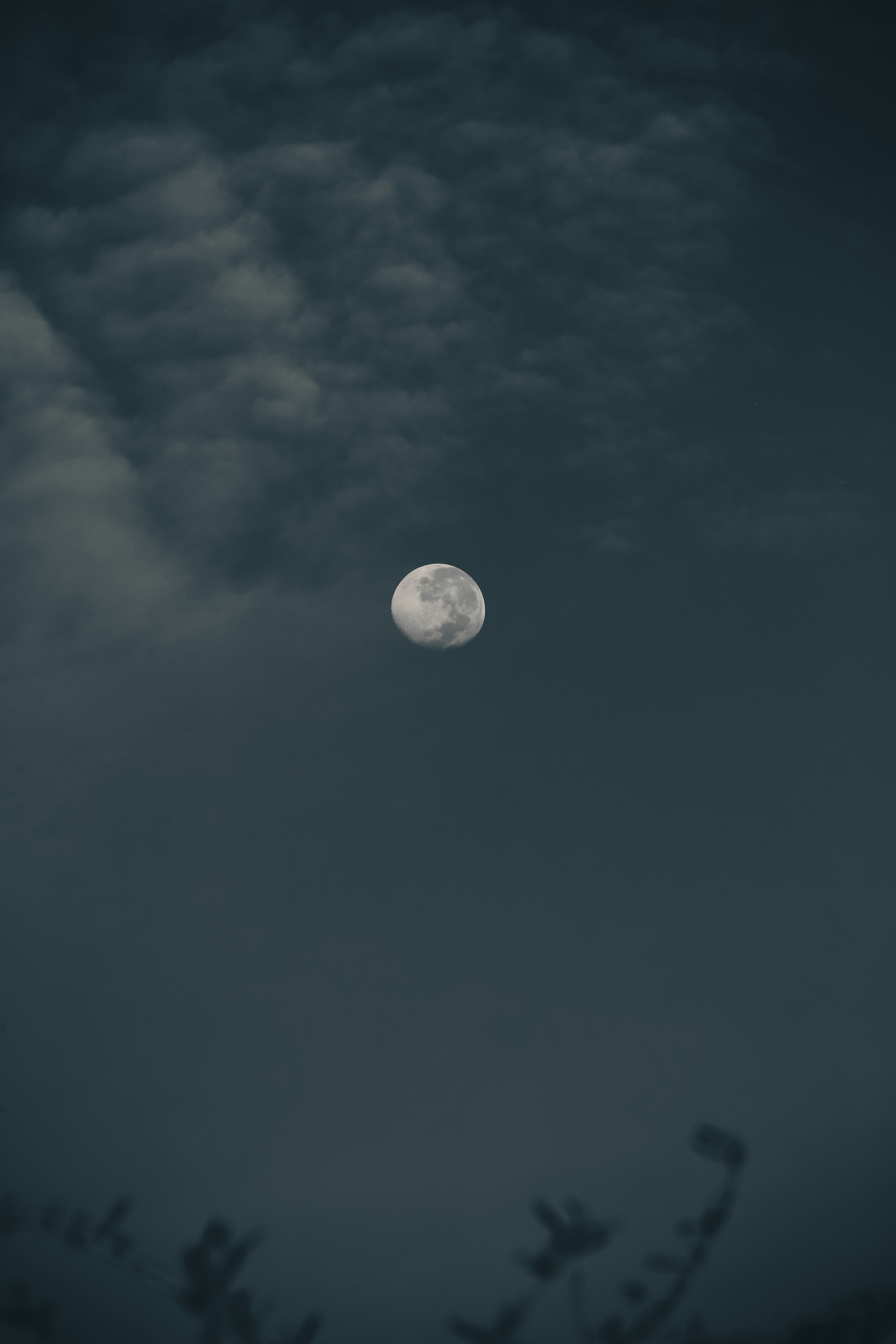 Photo by stevecameup