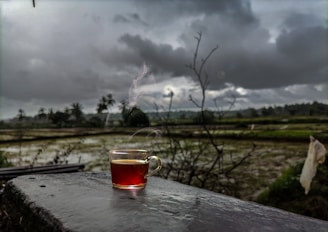 A steaming cup of tea sits on a concrete surface against a backdrop of a rural landscape with rice fields and overcast skies. The scene is filled with dark clouds, a sense of calm, and an untouched, natural environment.