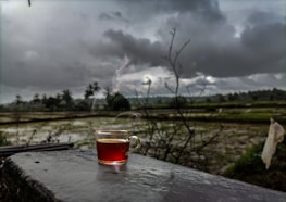A serene image representing the calmness of tea.