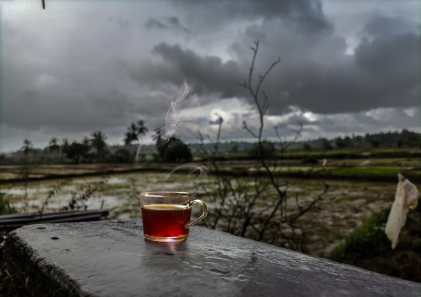 A steaming cup of local tea served on a wooden table overlooking the lush green and snowy landscape.