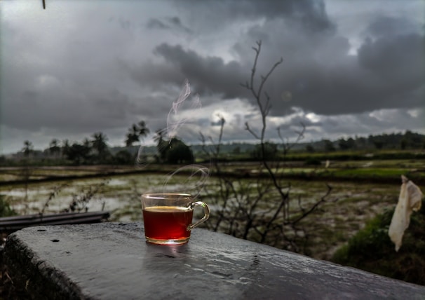 A steaming cup of tea sits on a concrete surface against a backdrop of a rural landscape with rice fields and overcast skies. The scene is filled with dark clouds, a sense of calm, and an untouched, natural environment.