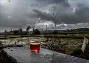 A steaming cup of tea sits on a concrete surface against a backdrop of a rural landscape with rice fields and overcast skies. The scene is filled with dark clouds, a sense of calm, and an untouched, natural environment.
