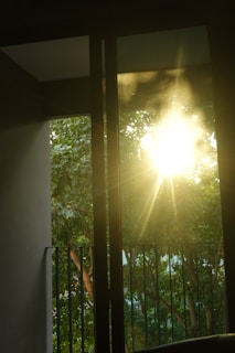 Sunlight streaming through a window onto a fresh green salad, highlighting the connection between sunshine and health.