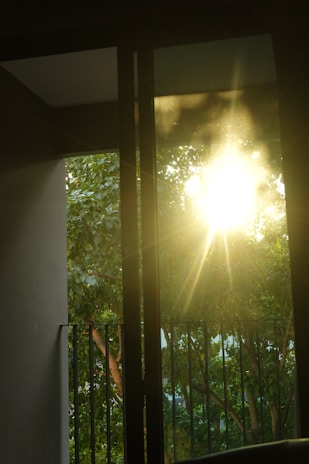 Sunlight streaming through a window onto a fresh green salad, highlighting the connection between sunshine and health.