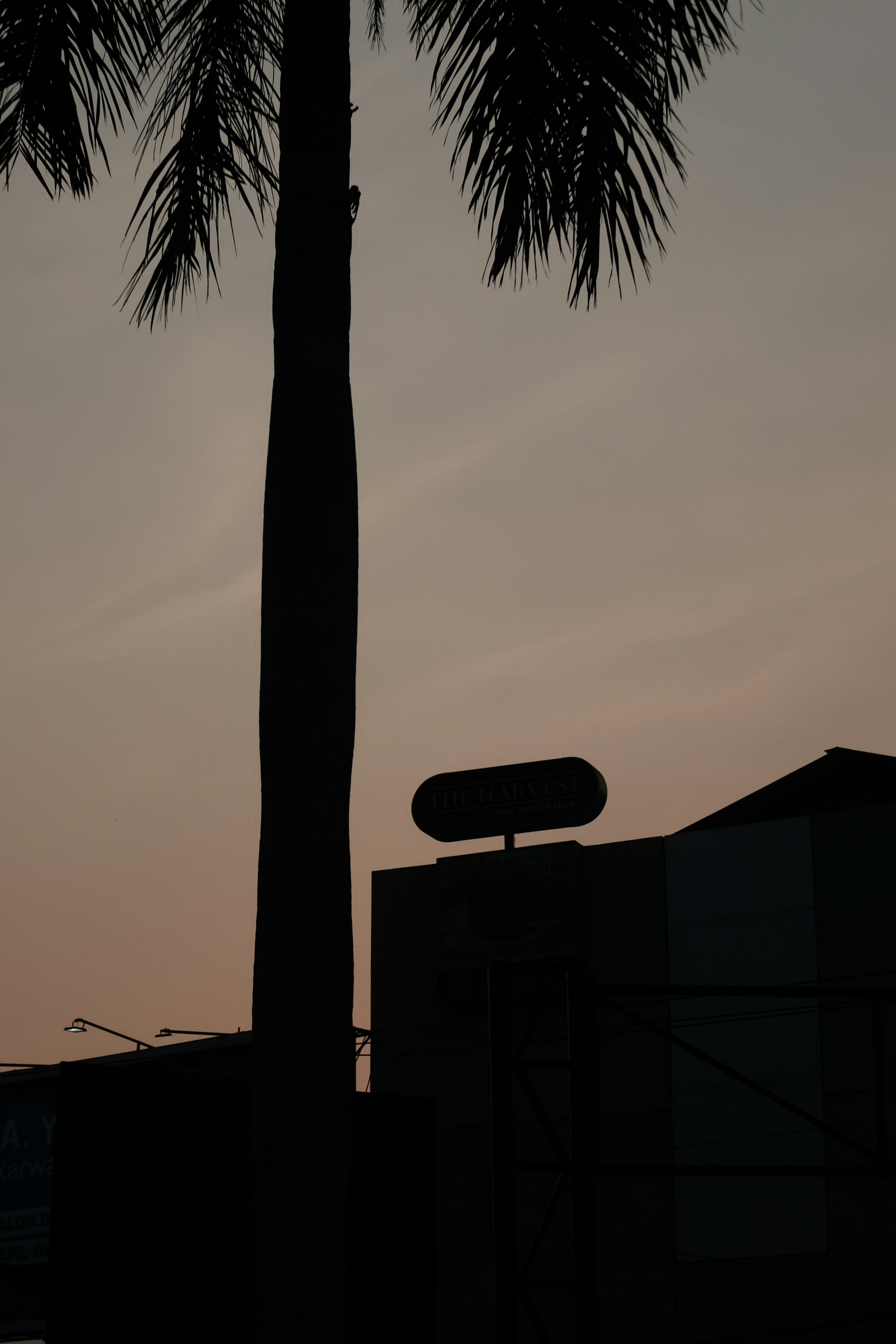 Photo by danishprakash