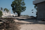 A construction site with a large tree in the center, various metal rods and building materials scattered across the ground, and unfinished concrete structures in the background. Motorbikes are parked near the tree. The sky is clear, and the scene appears to be set near a coastal area.