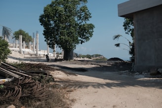 A construction site with a large tree in the center, various metal rods and building materials scattered across the ground, and unfinished concrete structures in the background. Motorbikes are parked near the tree. The sky is clear, and the scene appears to be set near a coastal area.