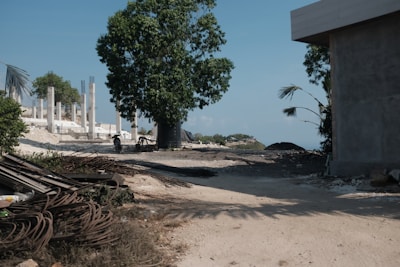 A construction site with a large tree in the center, various metal rods and building materials scattered across the ground, and unfinished concrete structures in the background. Motorbikes are parked near the tree. The sky is clear, and the scene appears to be set near a coastal area.