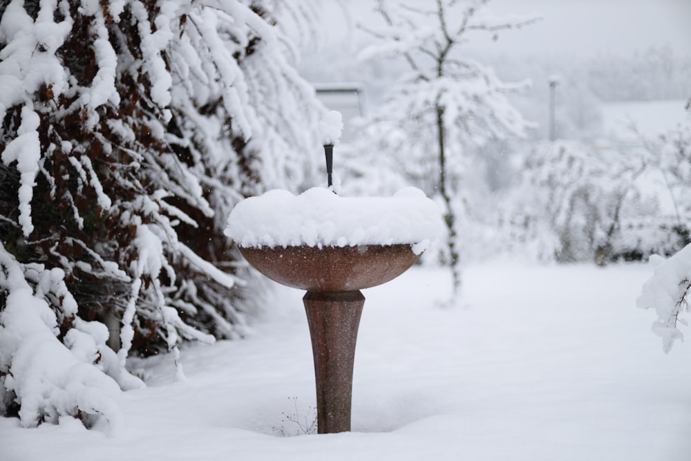 a bird bath covered in snow next to trees