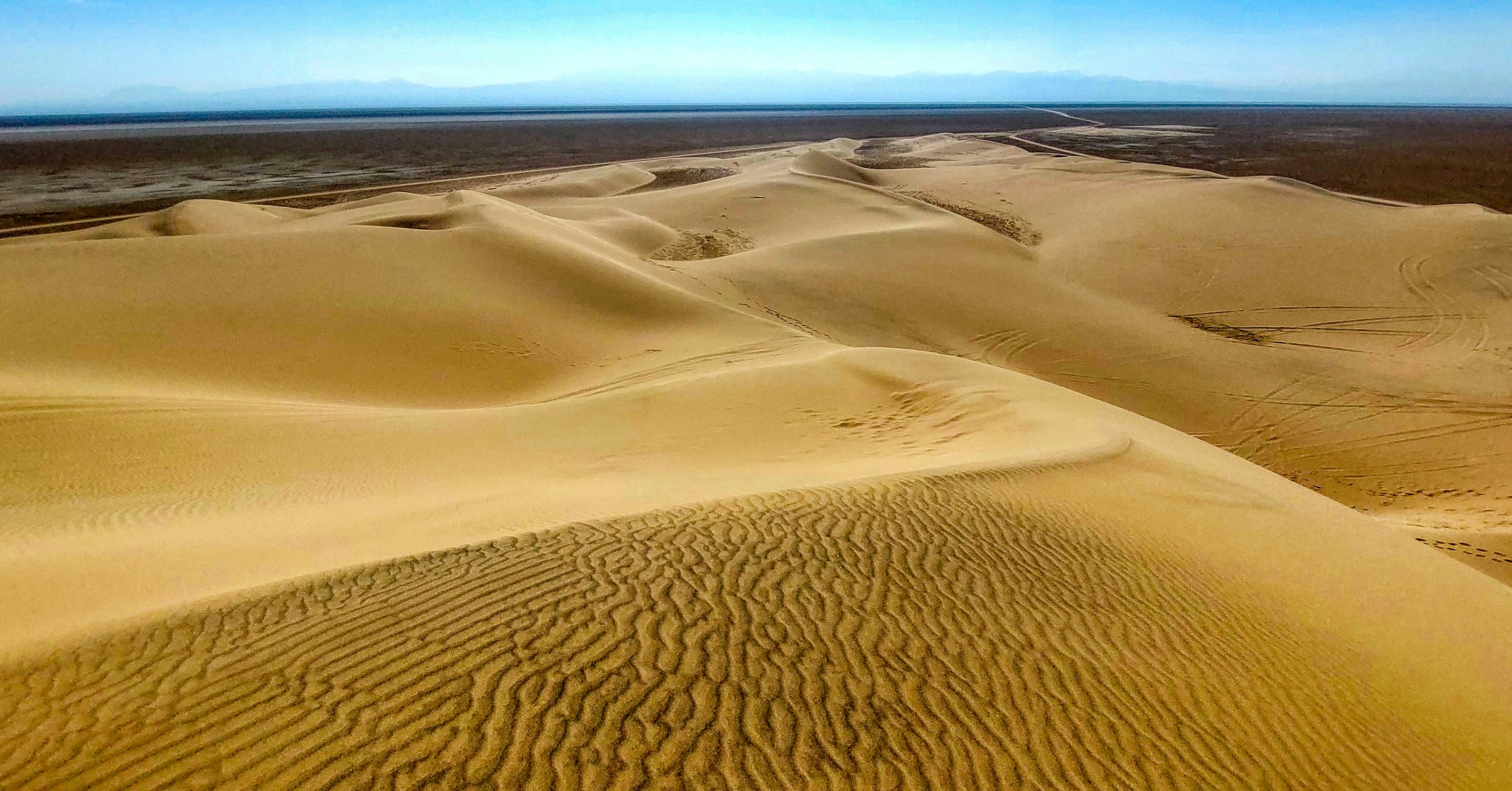 Desert Heat Adaptation (image credits: unsplash)