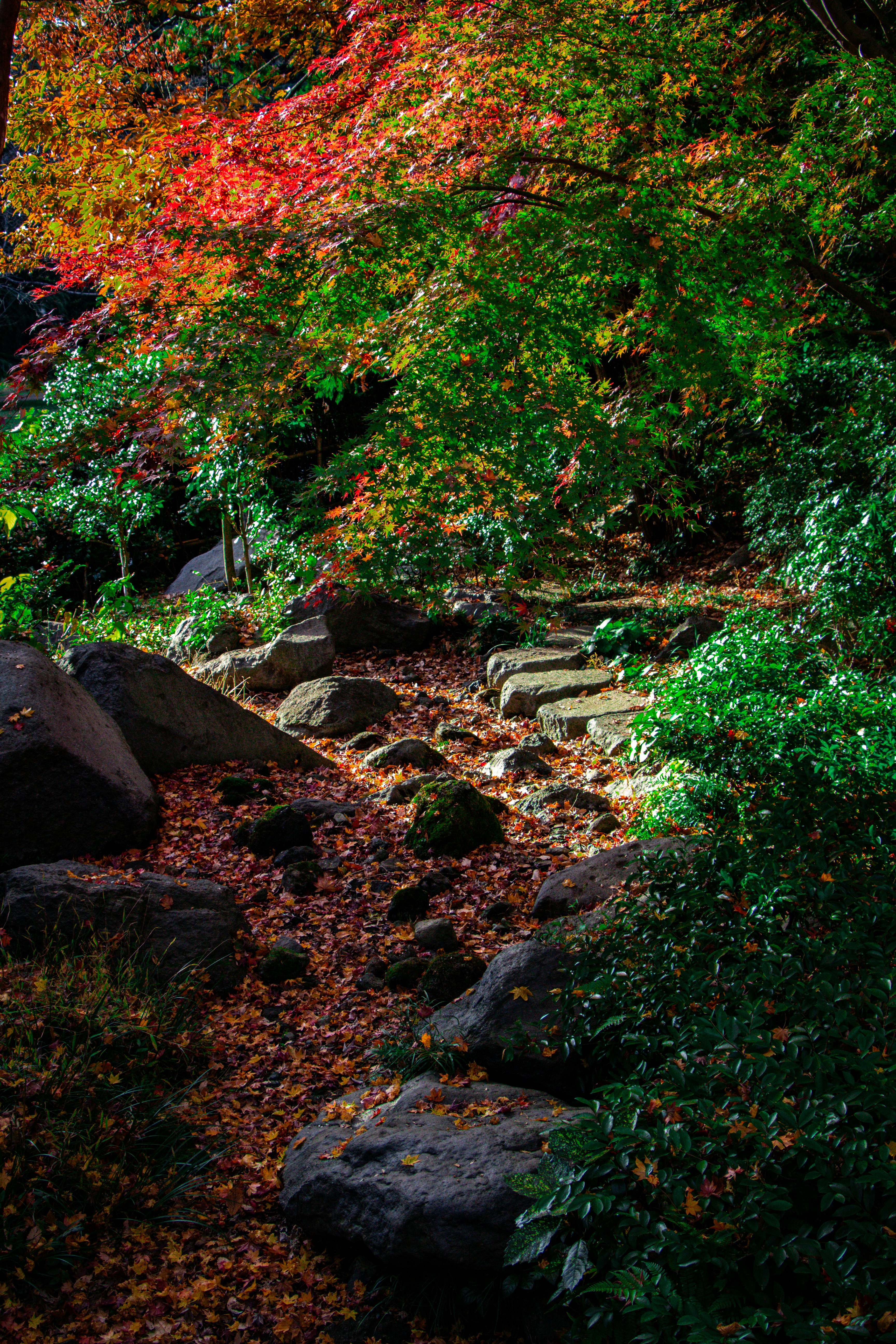 Photo by enkuu