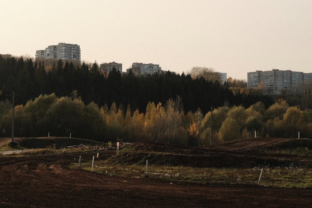 a field with trees and buildings in the background