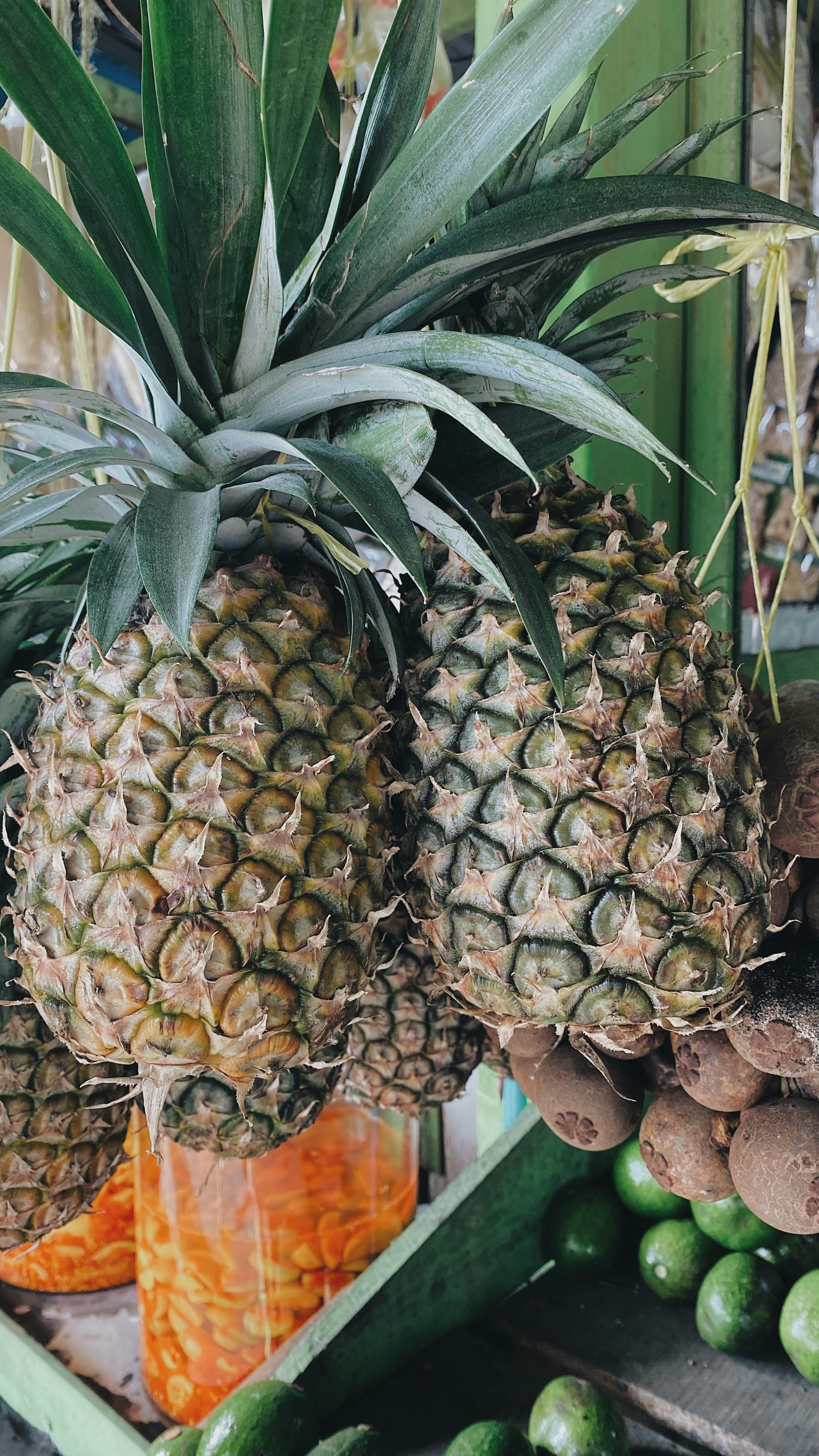 Polpa de Frutas Zipacosil