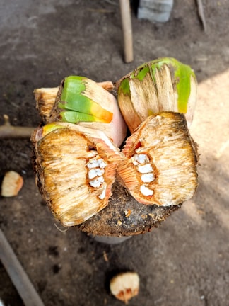 A freshly cut palm fruit is opened to reveal its fibrous interior and seed segments. The outer skin displays shades of green and brown, while the interior is a lighter beige with cluster-like white seeds. The fruit rests on a rough wooden surface with other pieces scattered around, suggesting a natural and rustic setting.