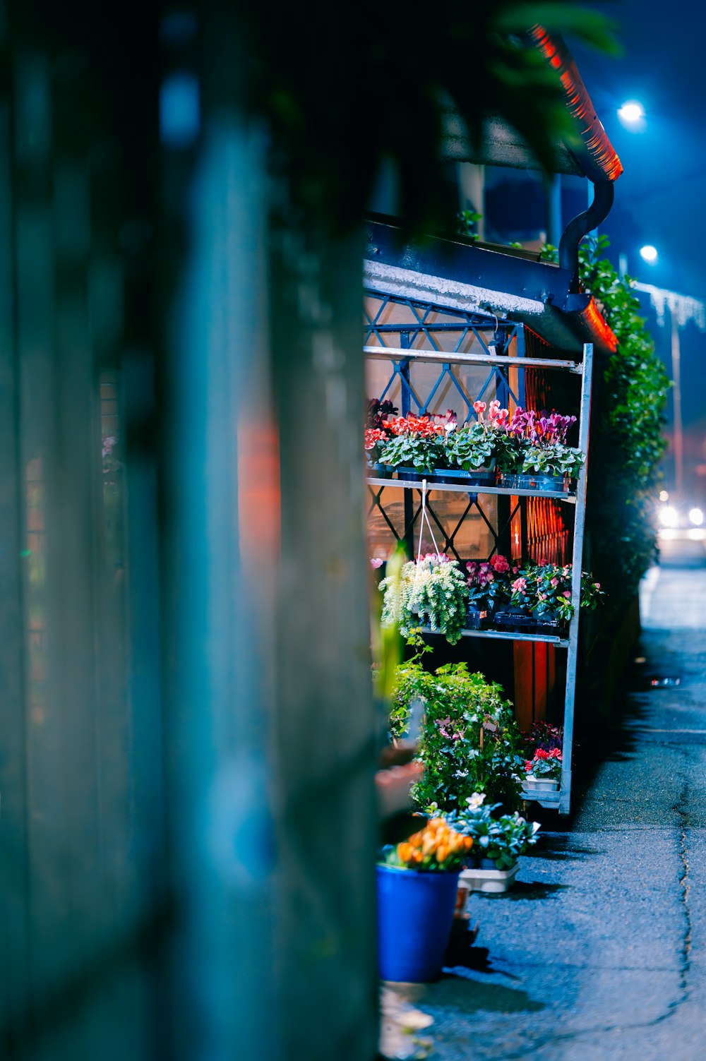 a rack full of potted plants on the side of a road