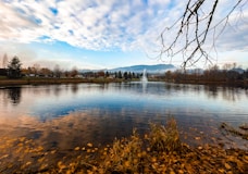 a large body of water surrounded by a forest