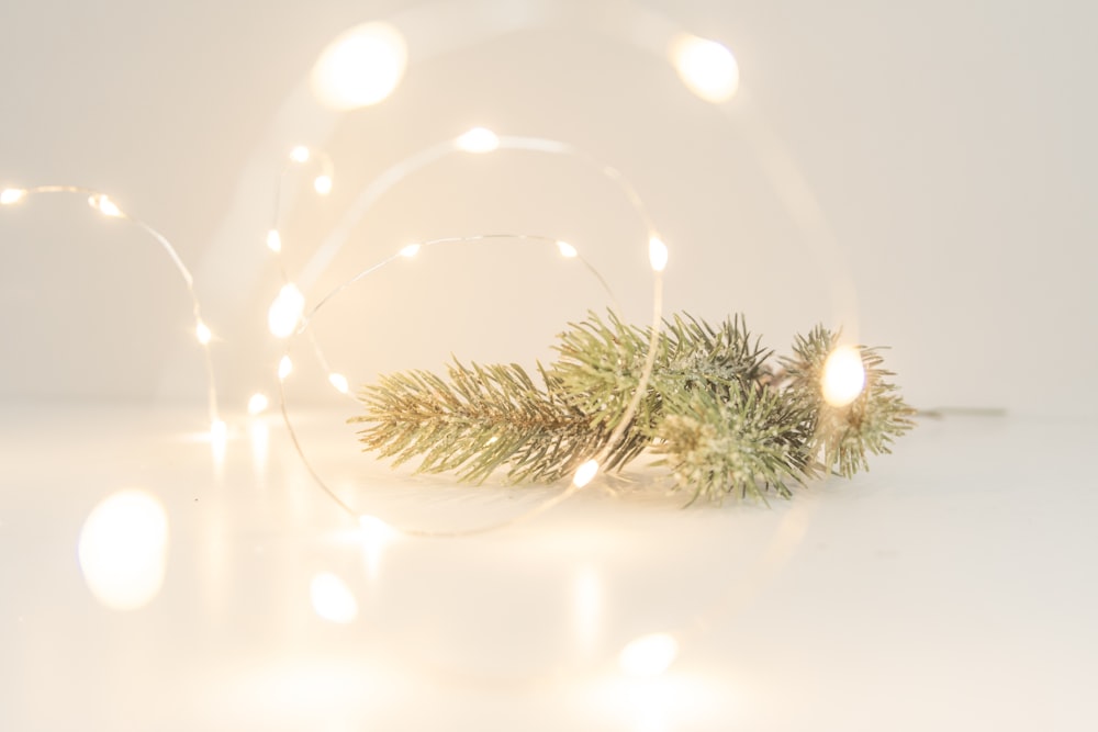 a white background with a christmas decoration and lights