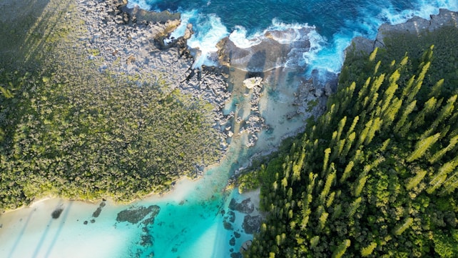 An aerial view of a coastline featuring vibrant blue ocean waves crashing against rocky cliffs and a lush green forest extending towards the sandy beach. The forest is dense with tall trees, and the water near the shore has a lighter turquoise hue.